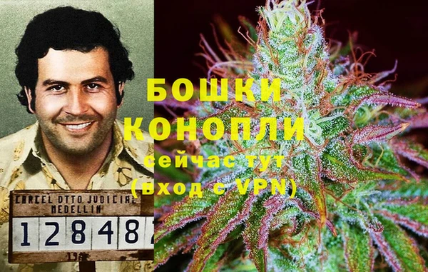 дмт Аркадак