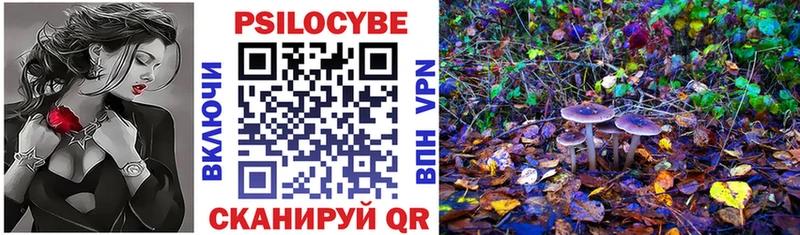 где купить   Удачный  KRAKEN маркетплейс  Галлюциногенные грибы Cubensis 